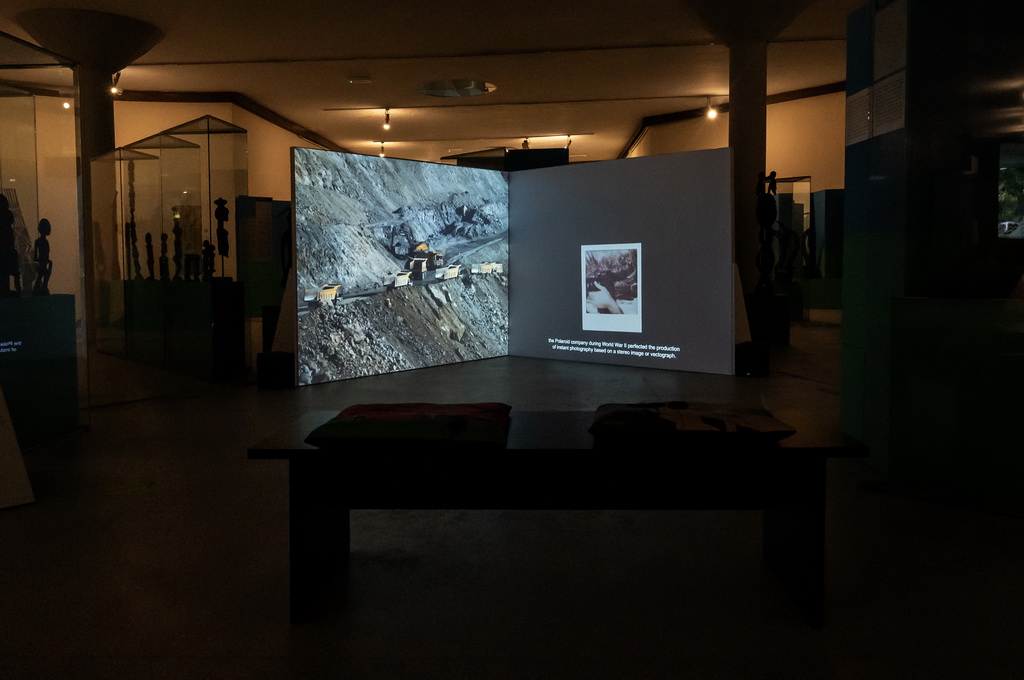 Снимак пејзажа термита, доплгенгер / Record of the Termite Landscape, dоplgеngеr