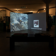 doplgenger, Record of the Termite Landscape, The Museum of African Art, photo: Emma Szabó